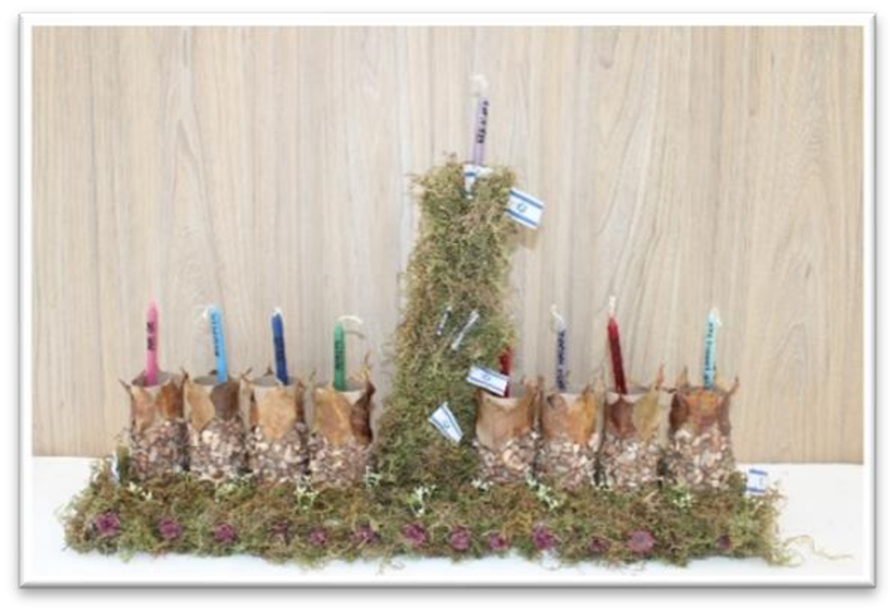 Chanukah in Jewish Schools Worldwide 