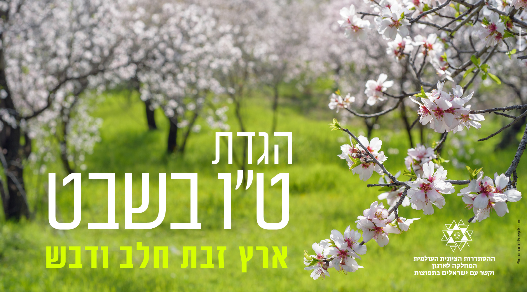 ט"ו בשבט 2024