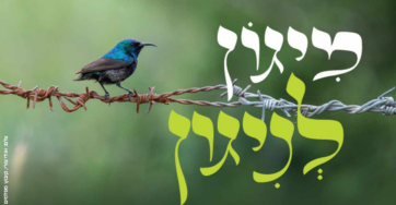 ציון שנה 7 באוקטובר